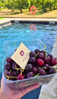 Quinta do Limite - Agroturismo - 7