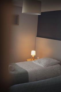 Entre Montagne et lac - vue lac - Gérardmer - 1