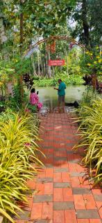 Families Couples Friendly Stay Pool Day Ettumanoor Thellakom 7994!64950 - 8