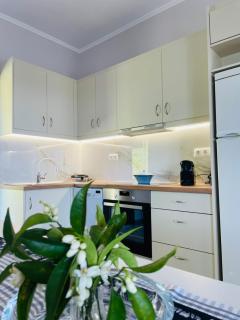 Olive Land Spacious Apartment - 6