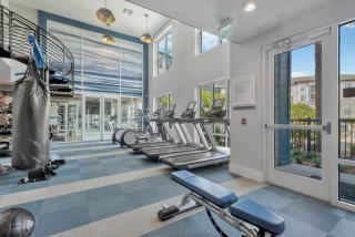 Modern Luxury Apt Near St Pete downtown Beaches - 4