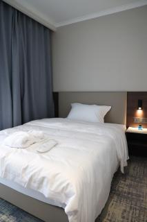 Central Park Hotel 中央公园酒店 - 5