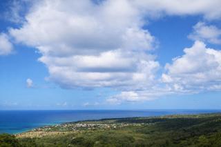 Cozy Coconut Villas - 0