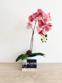 Le Platin - Plage & centre à pied - 1