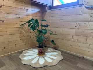 Le scalette di Giocondo - 2