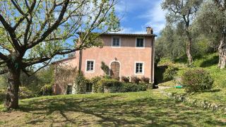 La Casa Dei Limoni, Camaiore, Pet Friendly, Wifi - 3