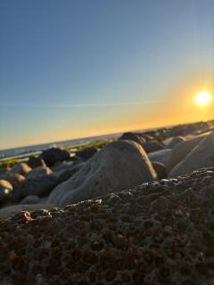 L'Oasis del Maria Fatima - 0