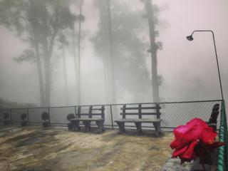 New Diythalawa Holiday Bungalow - 9