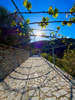 Fotis apartments - 5
