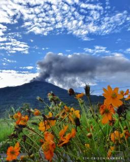 Elle Maya Sari Residence - 3