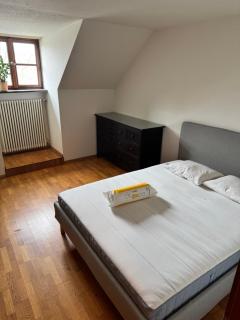 Studio Rhine View - Quiet and Cozy - 10min Walk to City Center, 15min to Main Station - 9