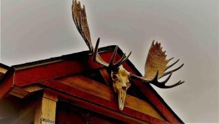 The Birches Cabin, at home in the woods! - 7