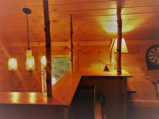 The Birches Cabin, at home in the woods! - 6