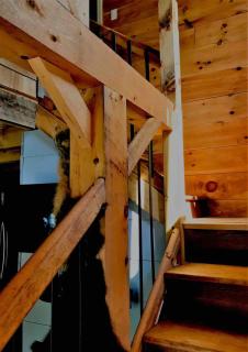 The Birches Cabin, at home in the woods! - 4