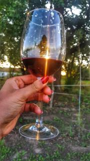 Appartement 4 personnes L'orée du Bois Du Prince - 1