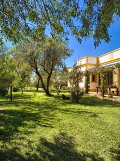 Finca La Penúltima-Posada - 8