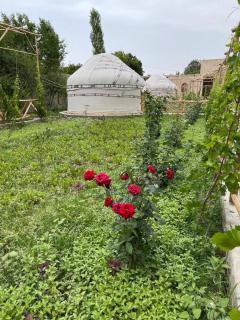 Shirin Ethno House Yurt Camp - 3