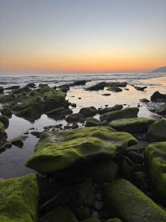 L'Oasis del Maria Fatima - 7