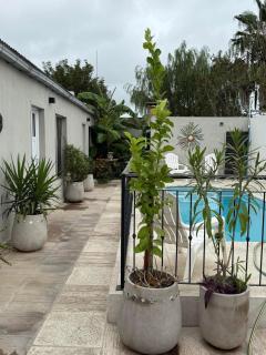 Quincho Los Abuelos - 6