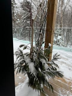La Trêve Mont Tremblant - 1