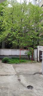 Belgrade apartment deluxe - 7