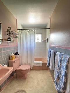 Retro family & pet friendly home with large backyard near Cheyenne Mt Zoo & Broadmoor Hotel - 2