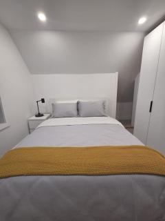 Leslieville 1BR Close to Queen St East - 4