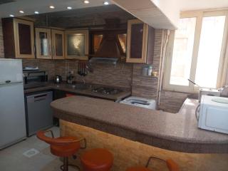 شقة بالمندر بنوراما علي البحر - 4