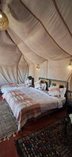 Luxury camp merzouga - 4