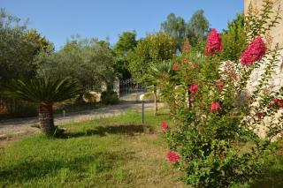 Villa del Monte - 6