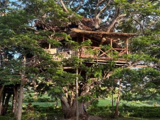 Antonio Beach Hotel & Spa -with treehouse and biggest swimming pool in East Africa - 7