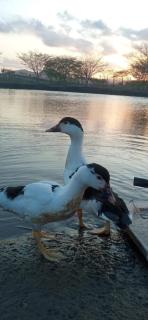 Recanto MUV,quarto - 3