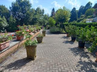 B&B Viale delle Nazioni - 1