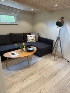 Stay close to the beach overlooking the sea in beautiful Svarte - 1