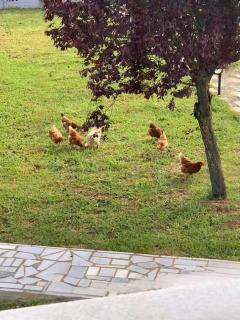 Lanari Valley House 2 - 5