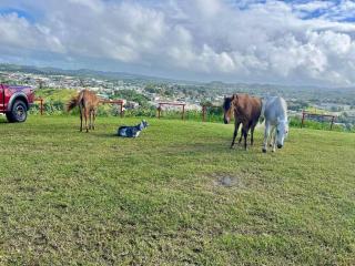 La Loma- Cozy Retreat with Jacuzzi & Views - 2