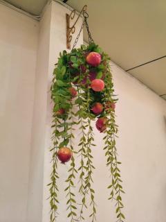 Hotel Radhika Palace - 2