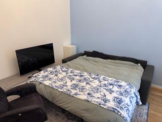 Indigo auf der Ring - 1