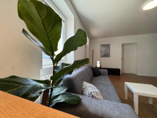 Apartmán Zamarovce - 4