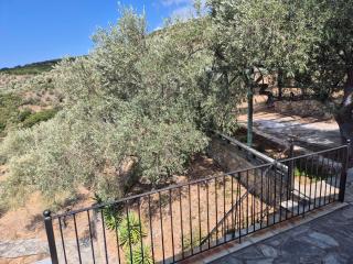 ASTERAS by Villa Paou - 3