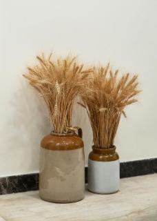 Autumn House - 9