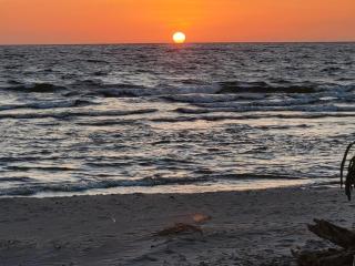 Beach & forest Escape - 2