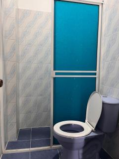 Sweet Dreams Necocli - 2