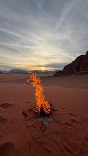 Wadi rum magical nights - 9