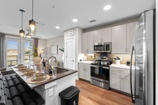 Luxury 1BR King Bed with Pool, Gym, FreeParking, EVCharger, Stockyards, WorldCup - 4