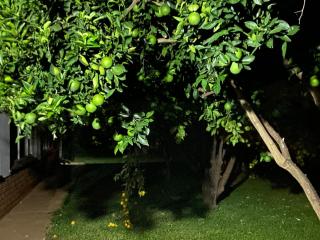 Highway Haven - Stilfontein - 9