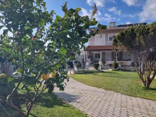 Isthmus Filoxenia - 0