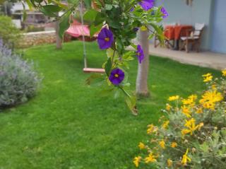 ''Shinohori'' Olive-Tree Apartment - 7