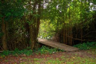 Honduras Shores Plantations - Tela - 9