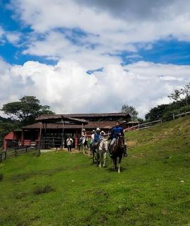 Sahara Lodge Nature, Design Arabian Horses - 8